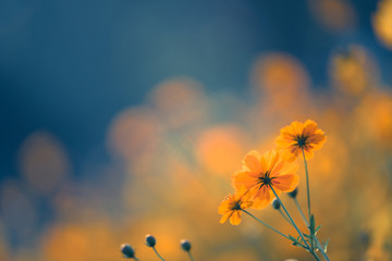 运动安全责任书