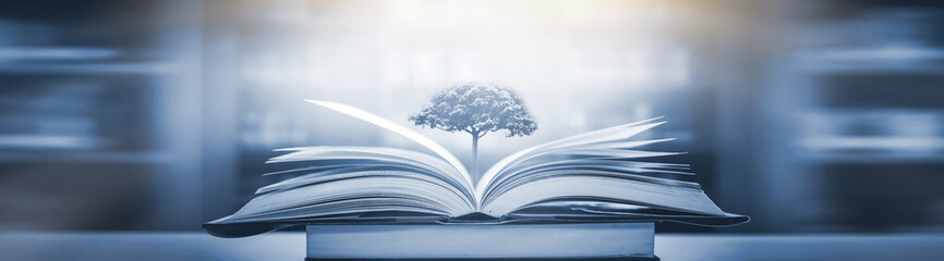 2023年值得买车的三个月份