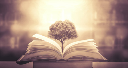 吉利帝豪是哪个国家的