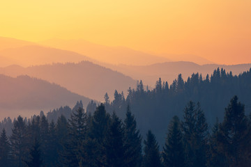 有格调的国产车推荐