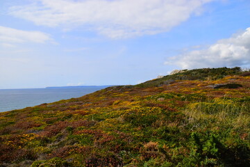 李宁乒乓球短袖国旗开胶怎么搞