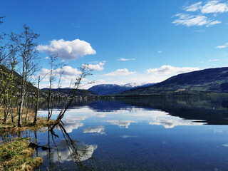 有格调的国产车推荐