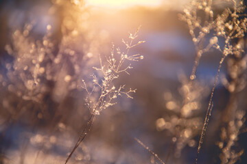 国产车质量差异太大