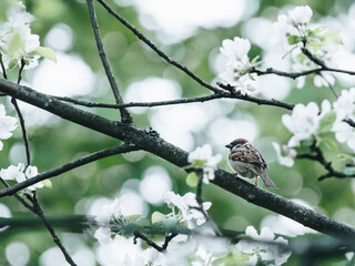 2023年值得买车的三个月份
