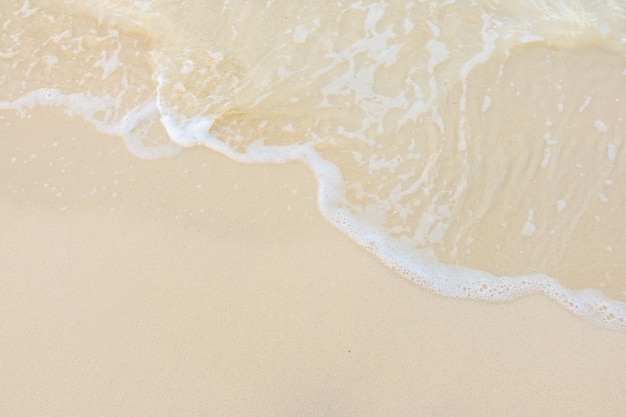 运动安全责任书