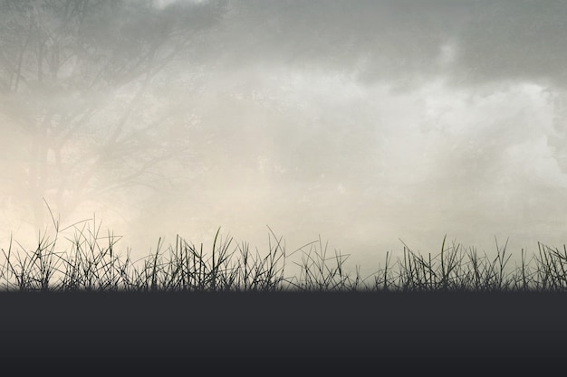 汽车有哪些保养是不用做的？