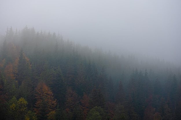 有格调的国产车推荐