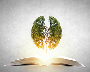 什么是召回-为什么要召回,近几年关于汽车召回的典型事件