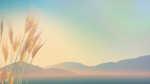 运动安全责任书