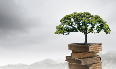 鹦鹉车漆比原厂漆好吗