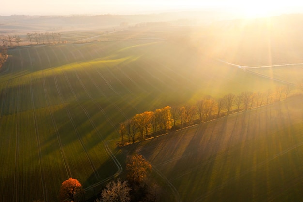2023年值得买车的三个月份