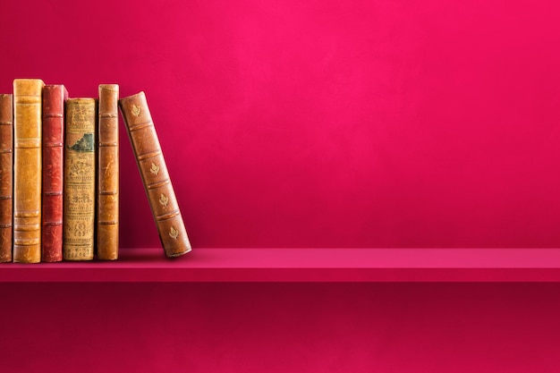 国产车可以买的车型