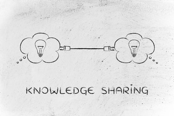 国产车质量差异太大