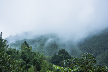 国产汽车到底好不好
